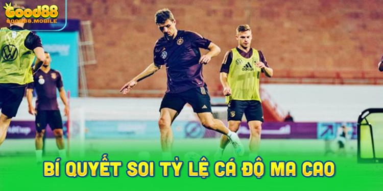 Bí quyết soi tỷ lệ cá độ Ma Cao hiệu quả
