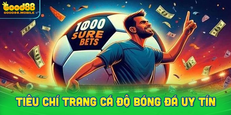 Tiêu chí đánh giá và lựa chọn trang cá độ bóng đá uy tín