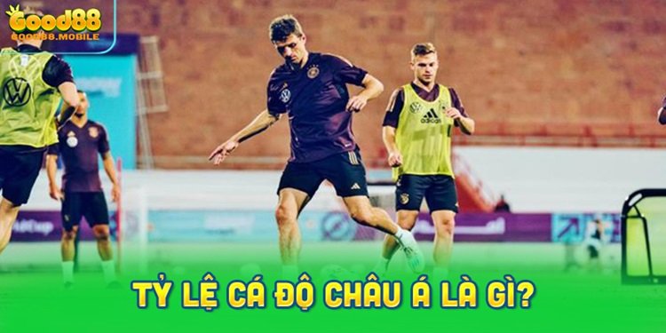 Tỷ lệ cá độ Châu Á là gì?