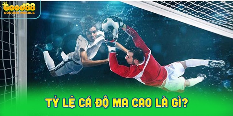 Tỷ lệ cá độ Ma Cao là gì?