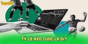 Tỷ lệ kèo cược là gì? Giải thích chi tiết