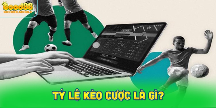 Tỷ lệ kèo cược là gì? Giải thích chi tiết