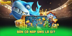 Tìm hiểu phiên bản bắn cá nạp SMS là gì?
