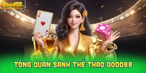 Tổng quan cấu trúc sảnh thể thao Good88